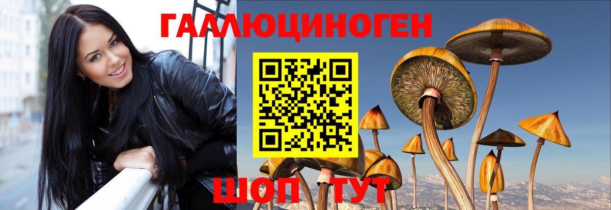 где можно купить наркотик  Вход с VPN  Строитель  Галлюциногенные грибы мицелий 